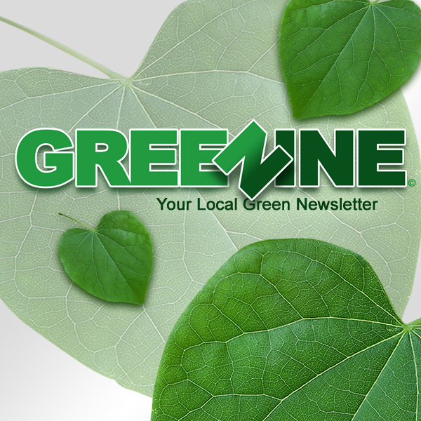 Logo design: Green-Zine