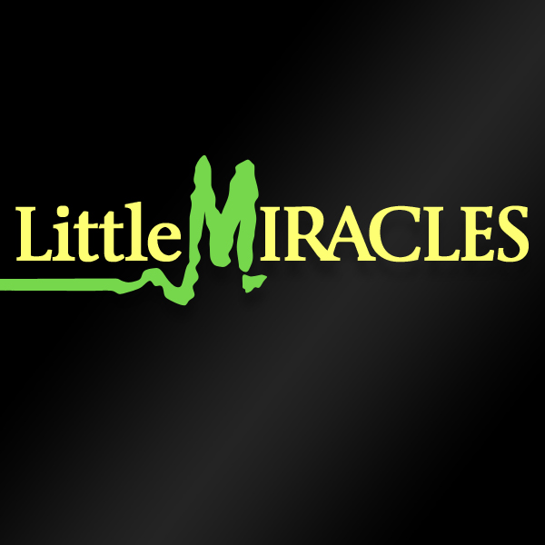  Logo design: Little Miracles 