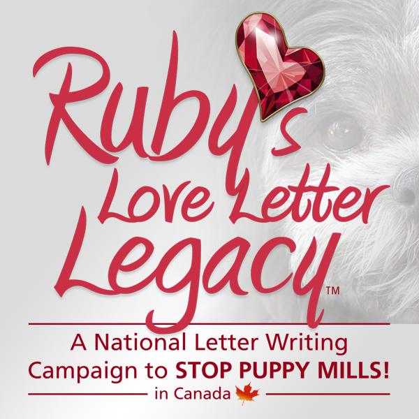  Logo design: Ruby's Love Letter Legacy campaign